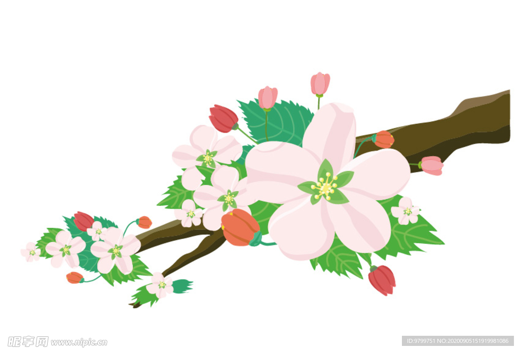 苹果花