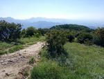 草甸风景
