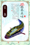 生鱼