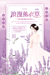 浪漫薰衣草