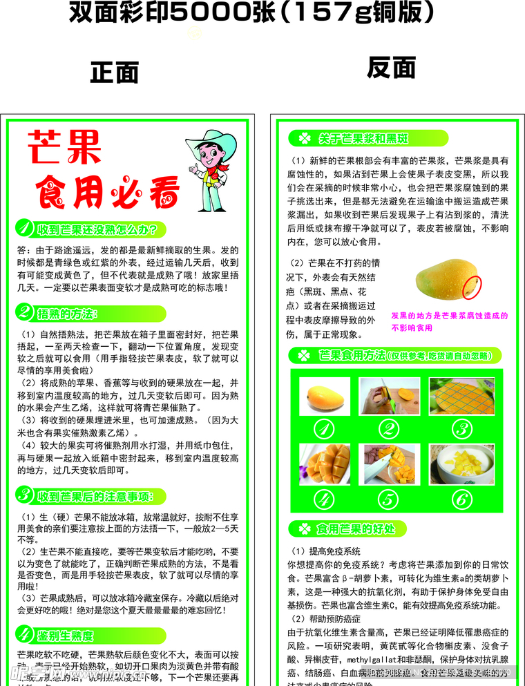 芒果DM宣传单页