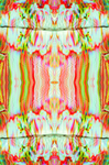 数码油画