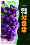 葡萄