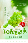 葡萄