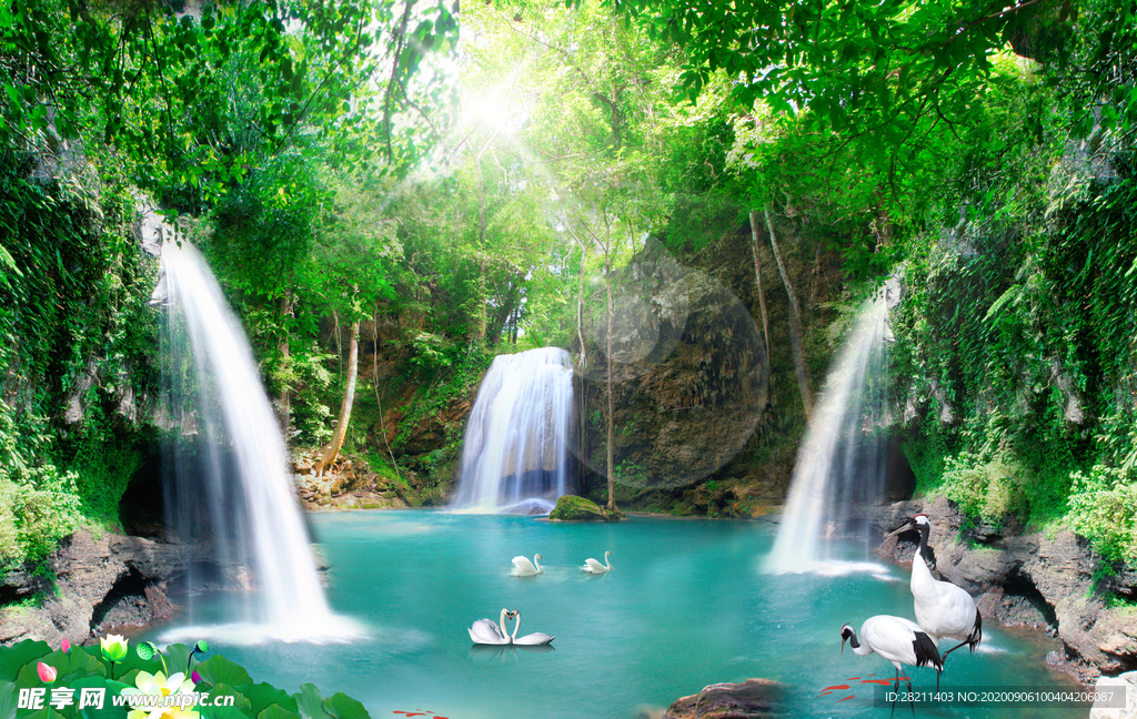 山水风光自然风景天鹅湖丹顶鹤