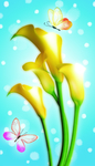 水仙花蝴蝶
