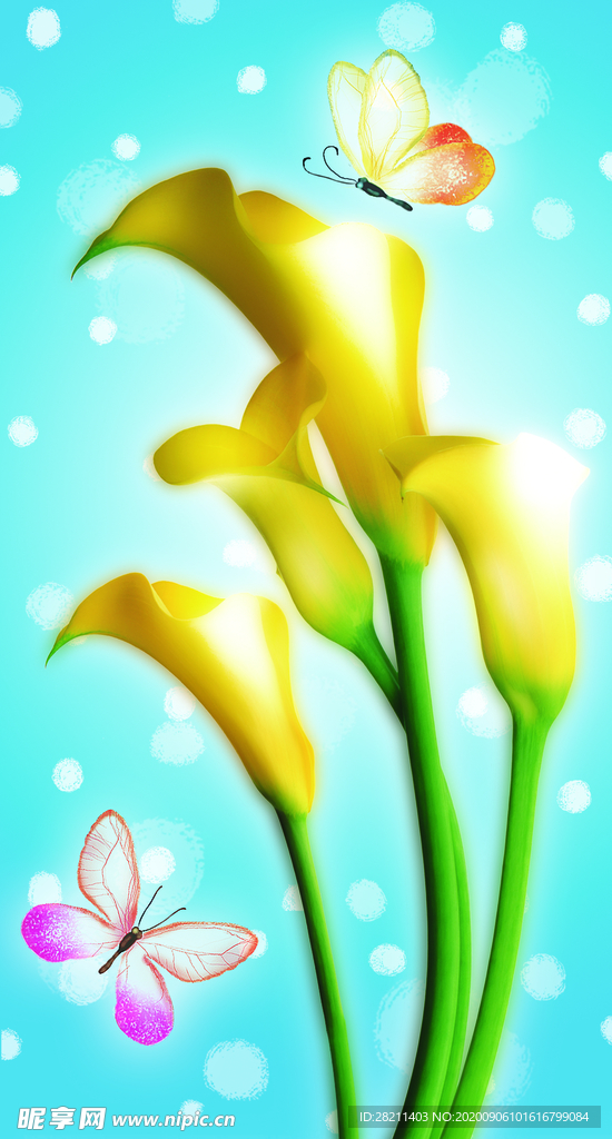水仙花蝴蝶