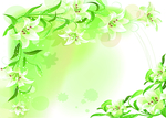 水仙花花环绿色花环