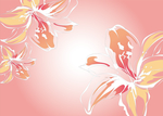 数码印花百合花包装盒礼品袋