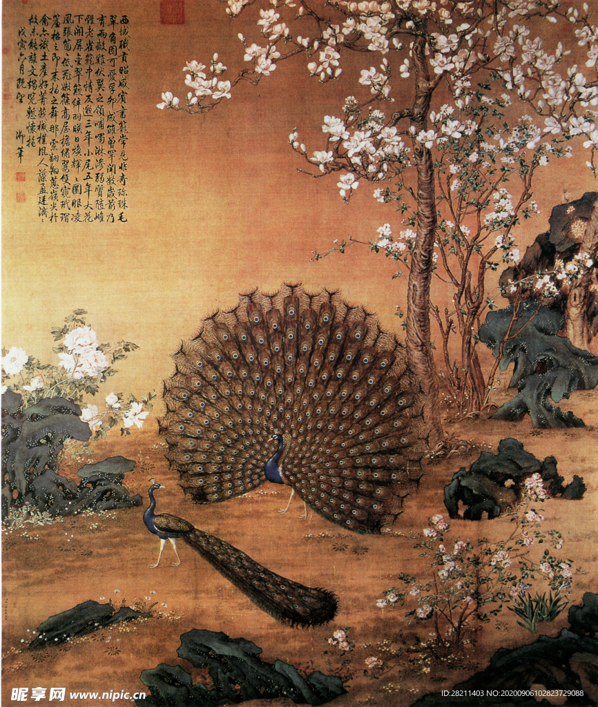 孔雀开屏古画