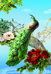 孔雀牡丹手绘牡丹花开