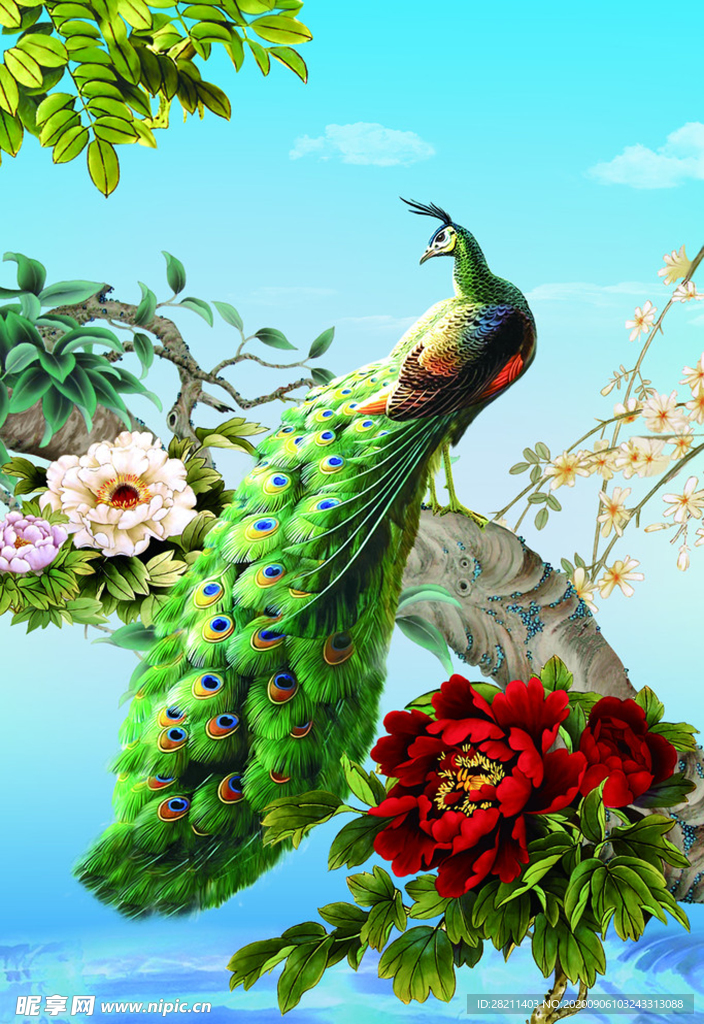 孔雀牡丹手绘牡丹花开