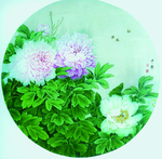屏风牡丹花中华牡丹