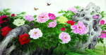 牡丹花花开蝶自来