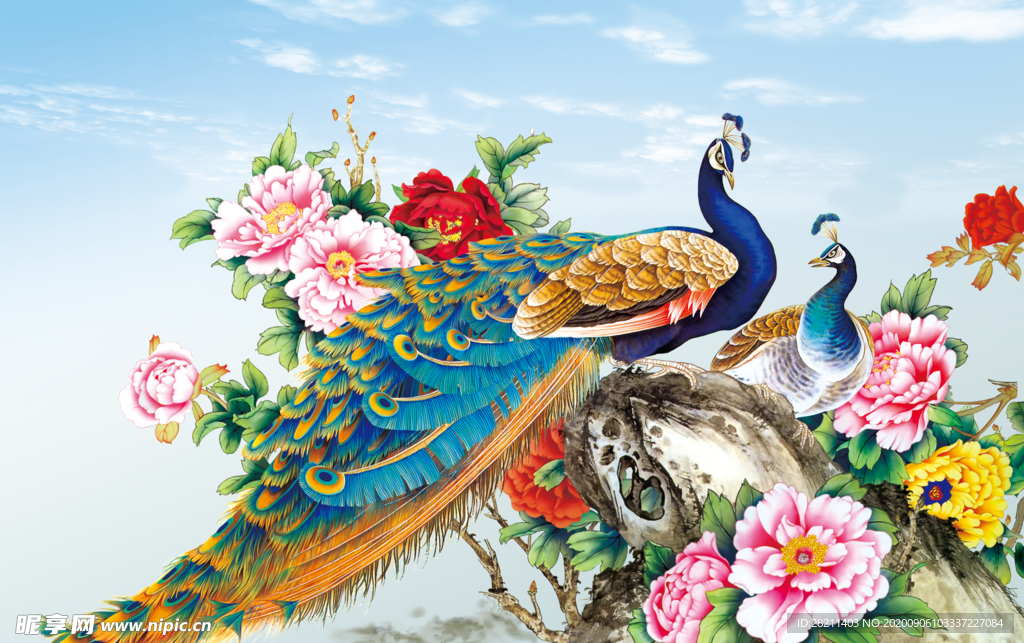 孔雀花开富贵牡丹花