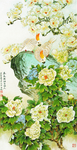 牡丹花鹦鹉白色鹦鹉玄关