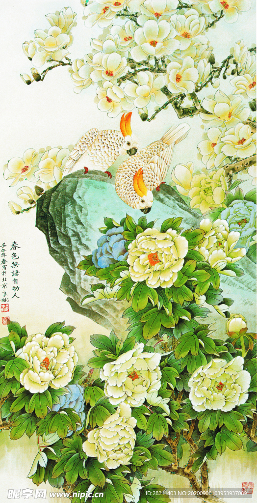 牡丹花鹦鹉白色鹦鹉玄关