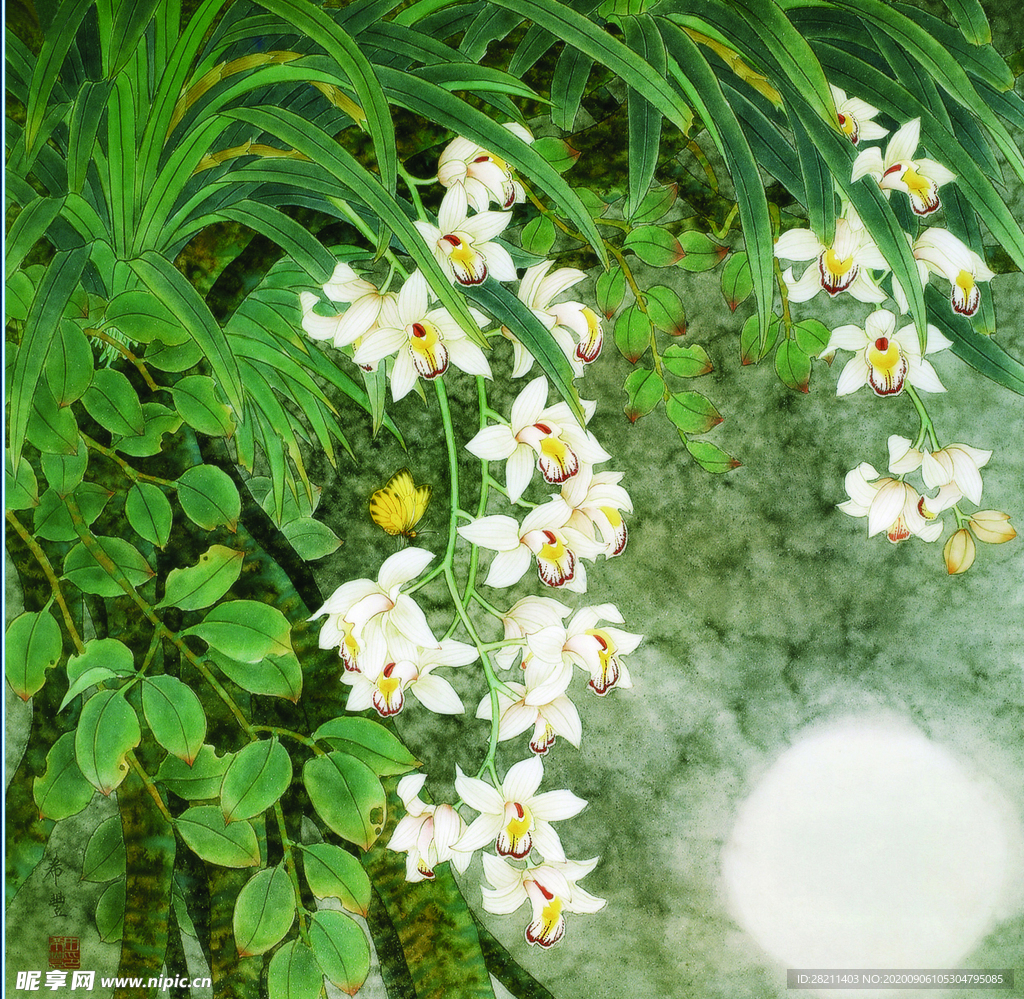 油画水彩画兰花