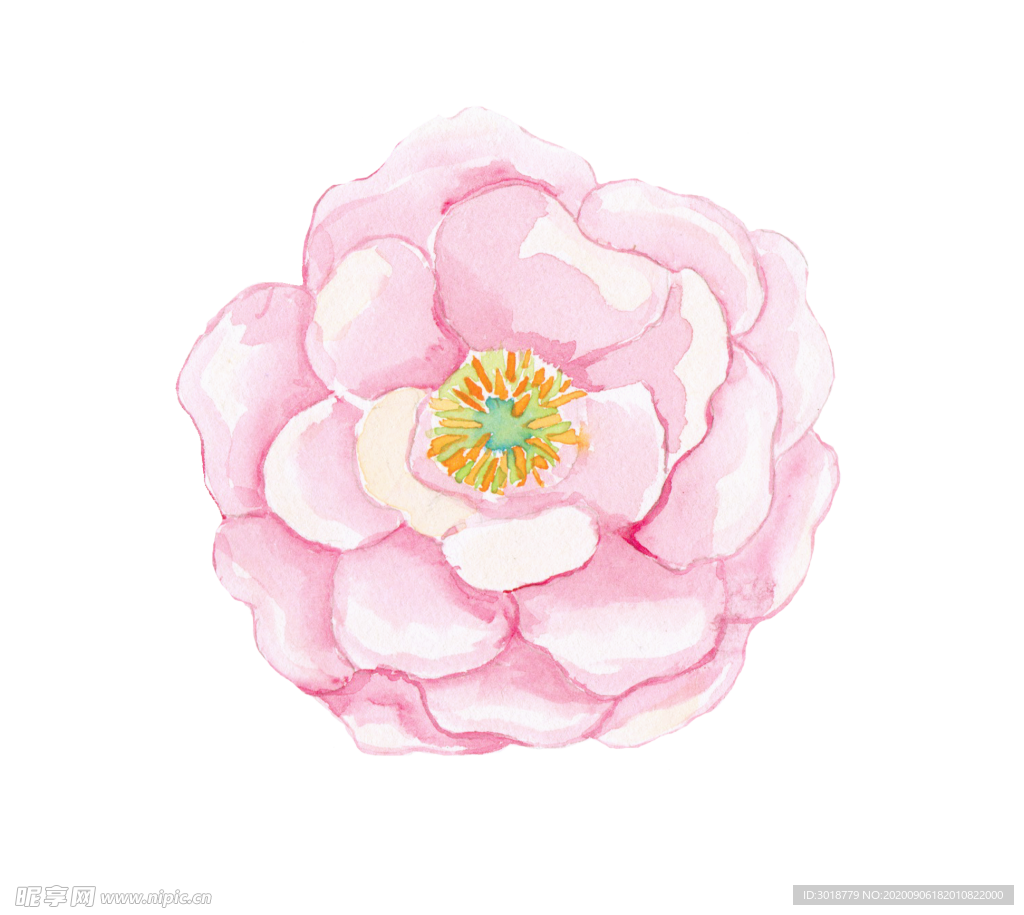 手绘花朵