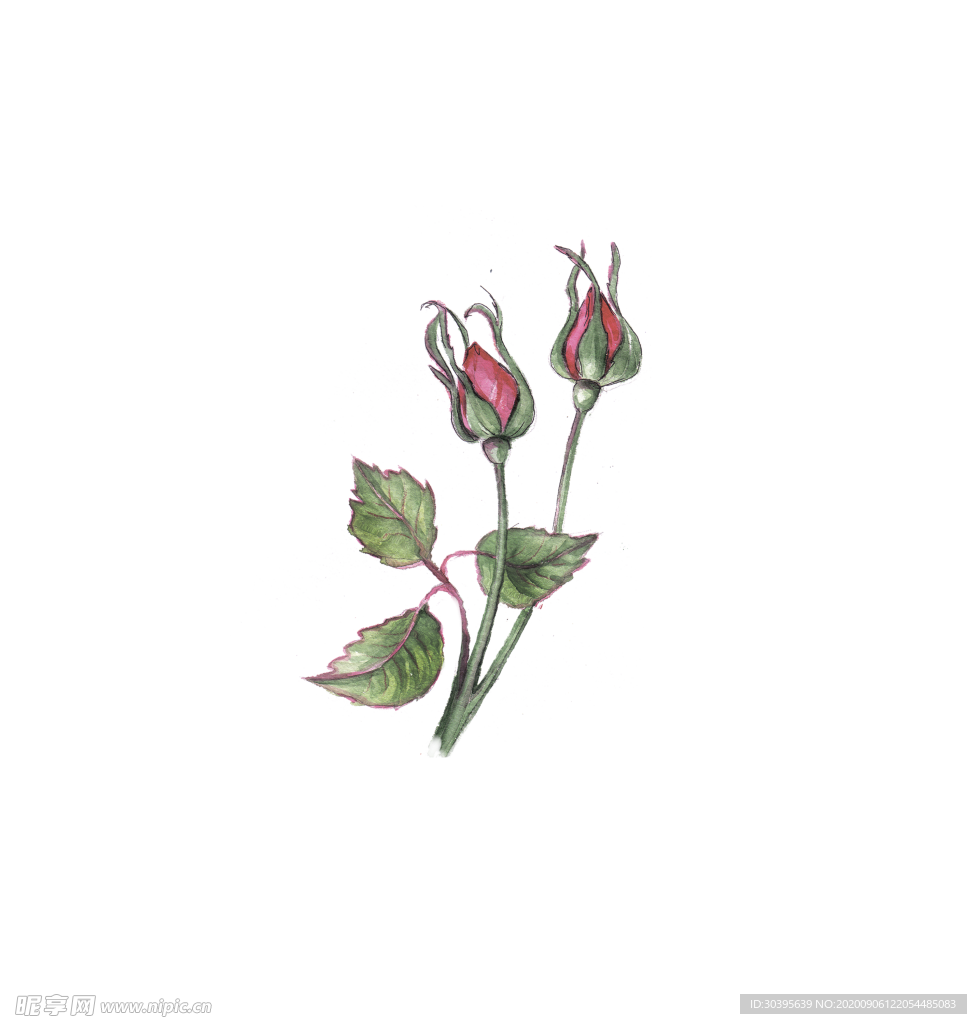 七夕