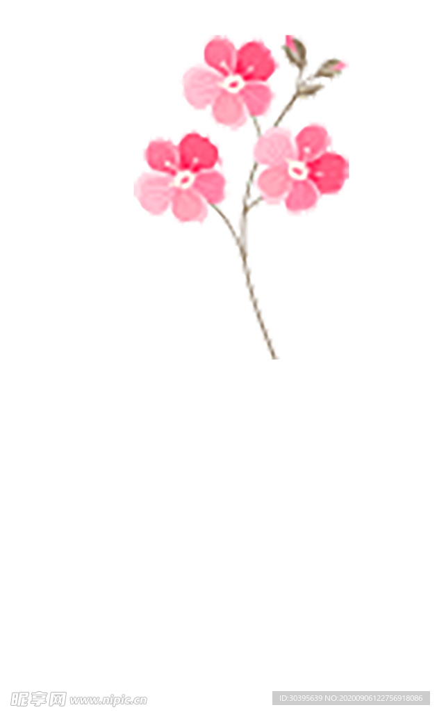 七夕