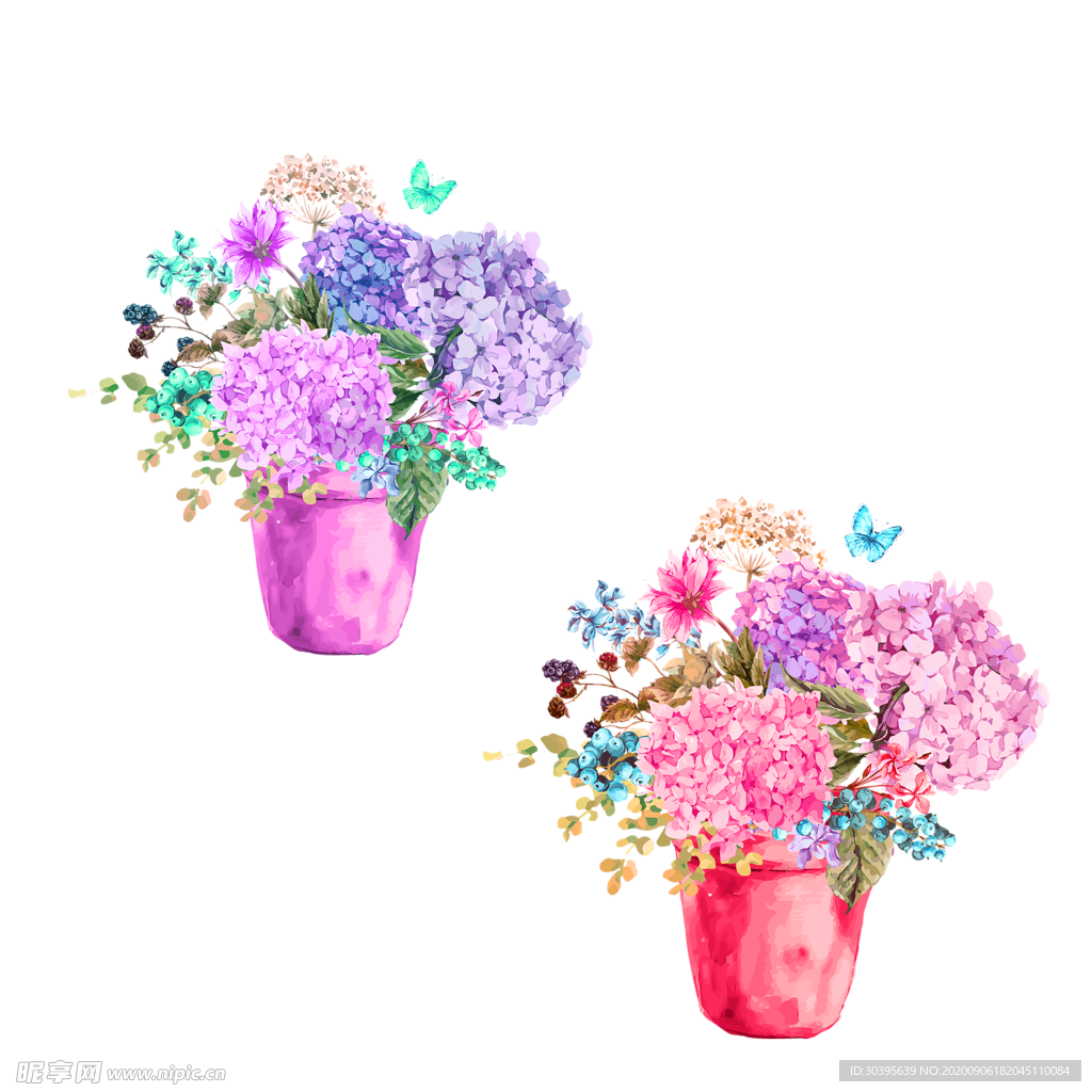 鲜花素材