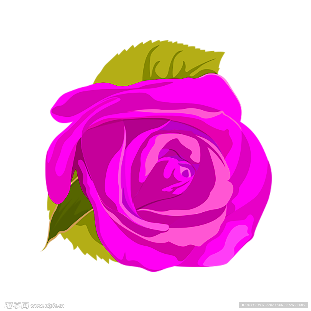 鲜花素材