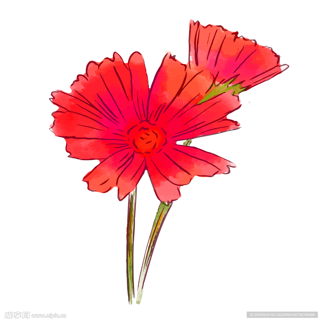 鲜花素材