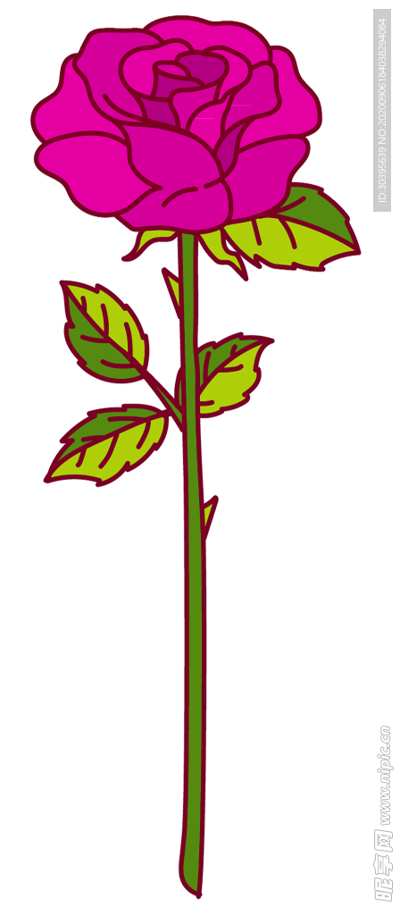 鲜花素材