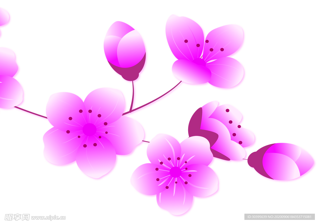 鲜花素材