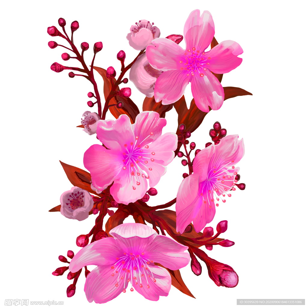 鲜花素材