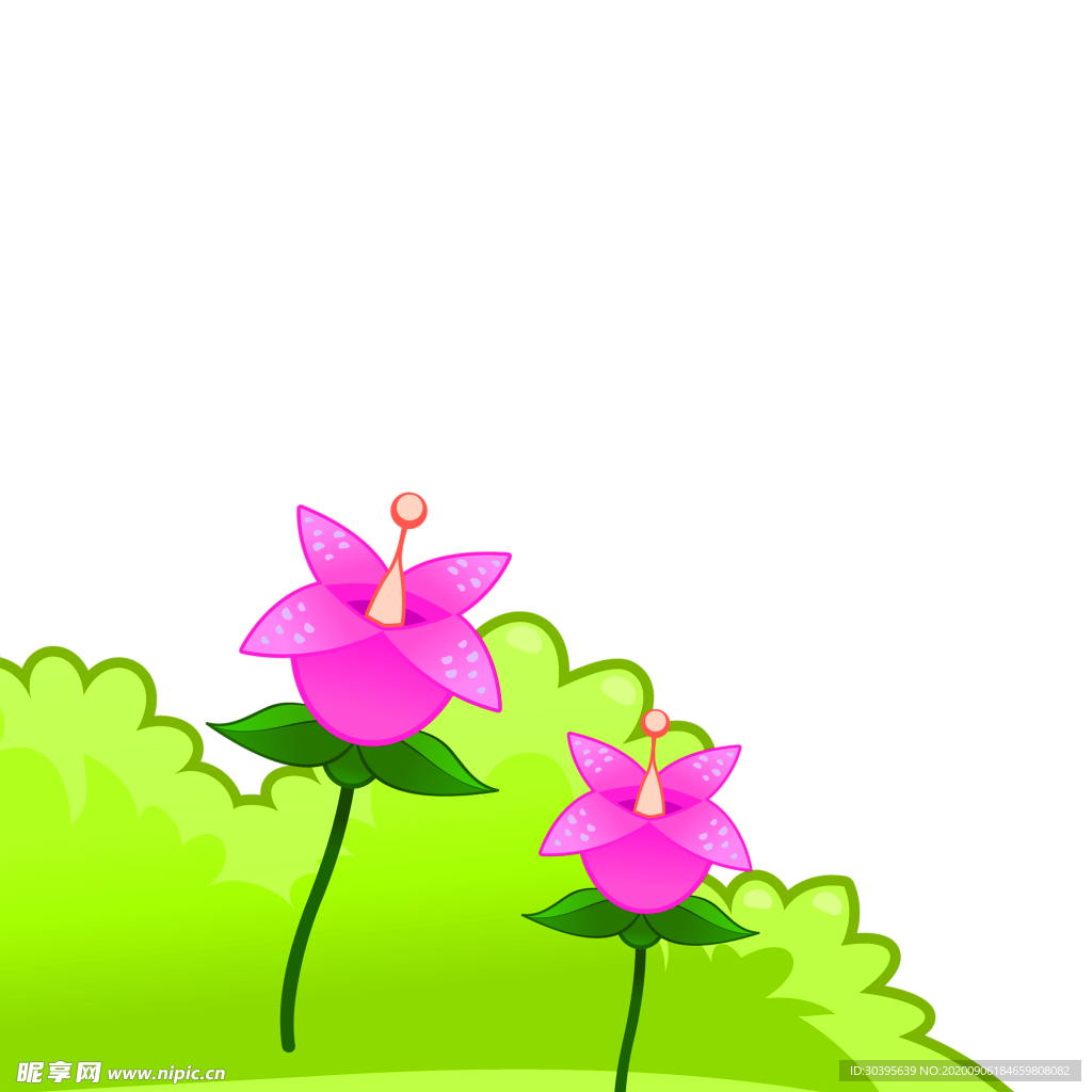 鲜花素材