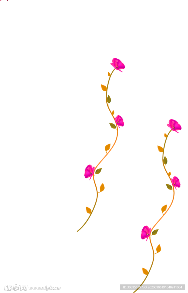 鲜花素材