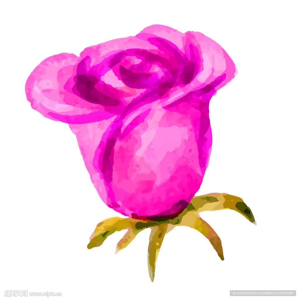 鲜花素材