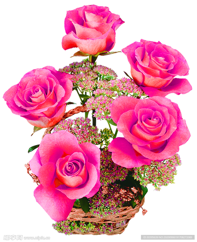 鲜花素材