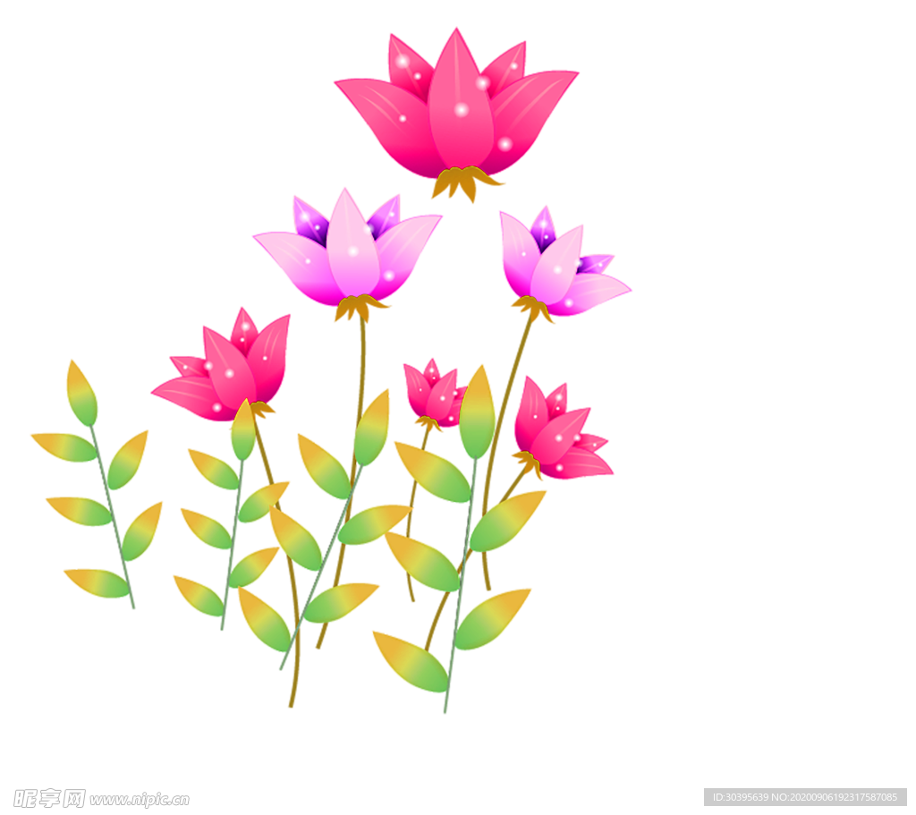 鲜花素材