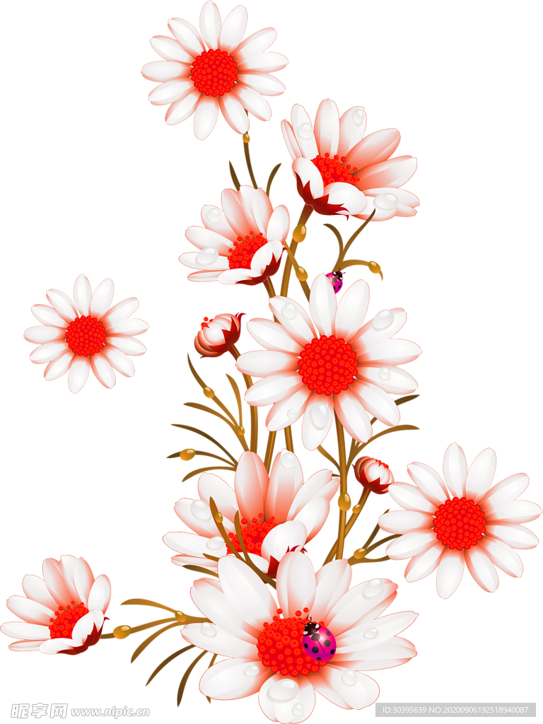 鲜花素材