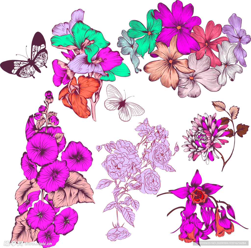 鲜花素材