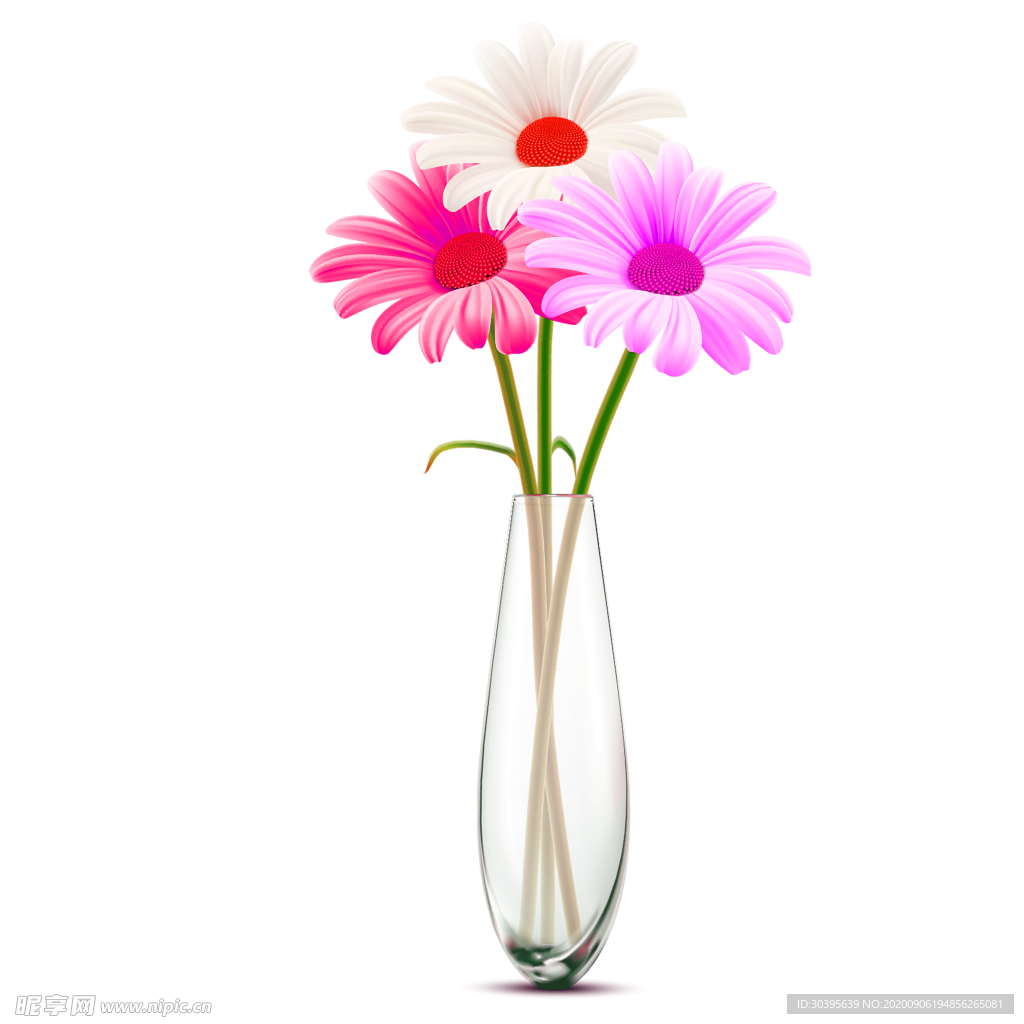 鲜花素材