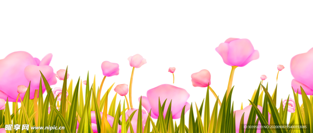 鲜花素材