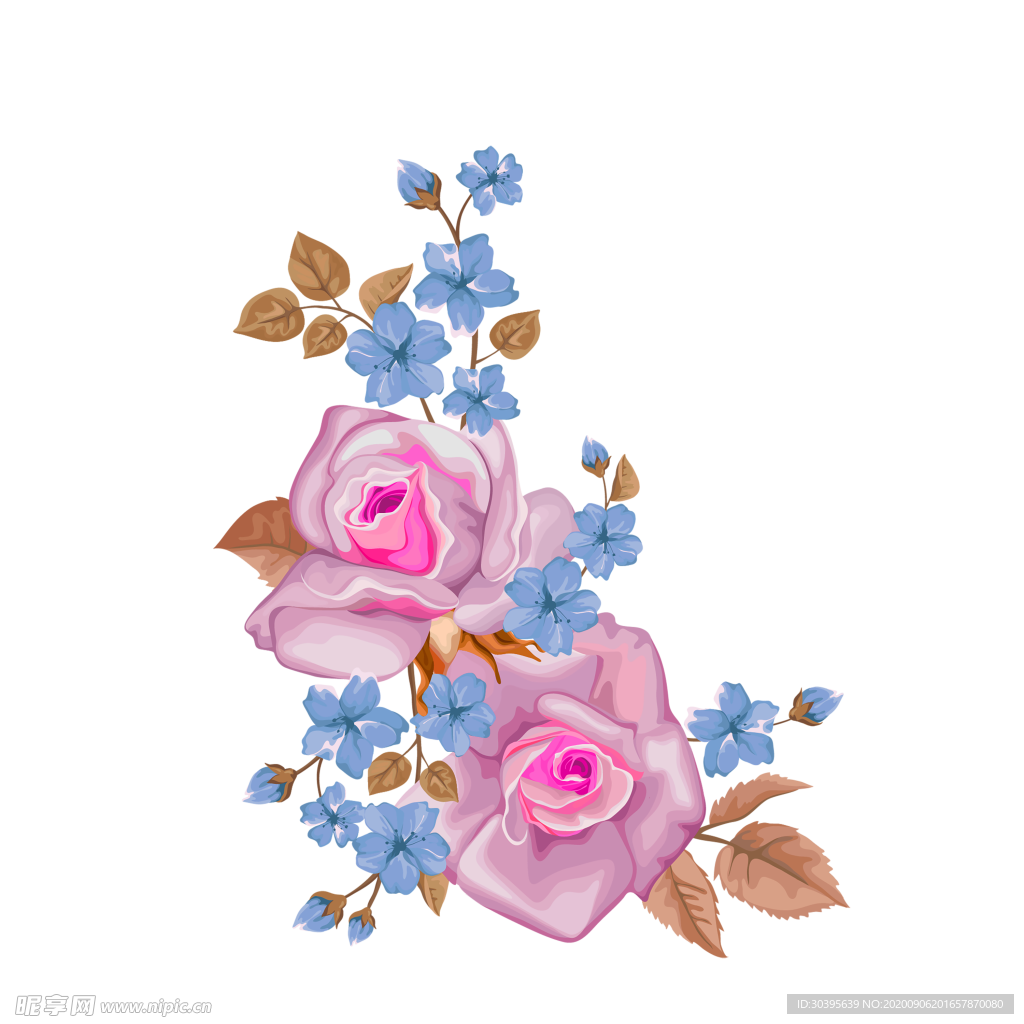 鲜花素材