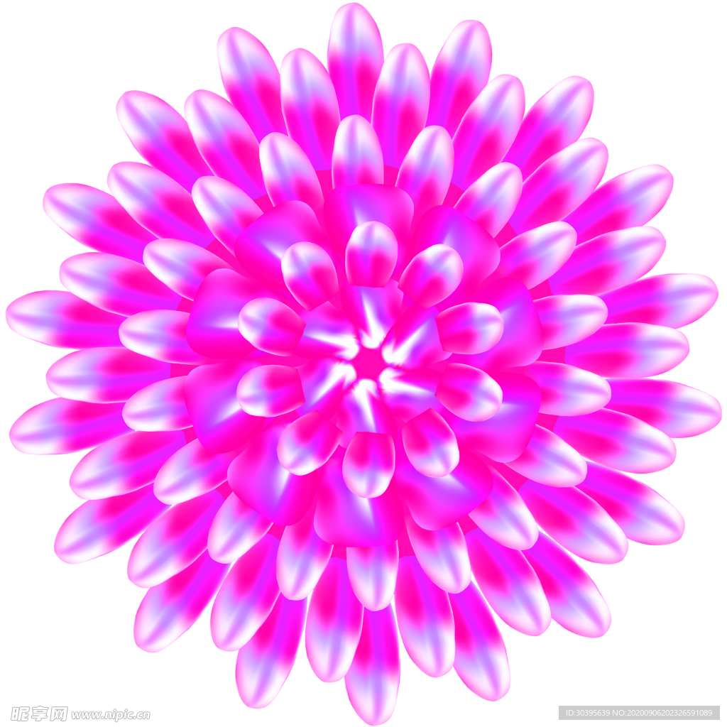 鲜花素材