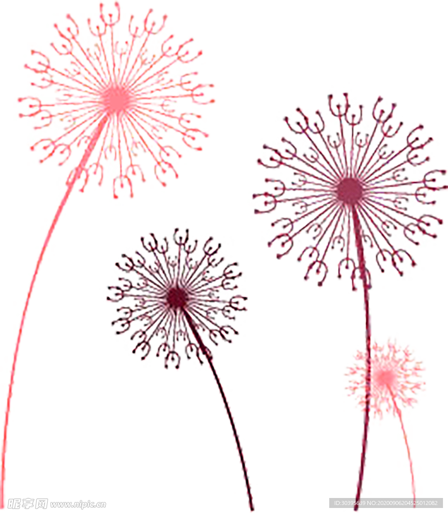 鲜花素材