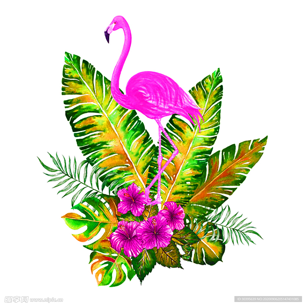 鲜花素材