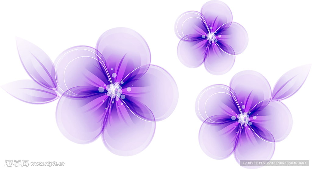 鲜花素材