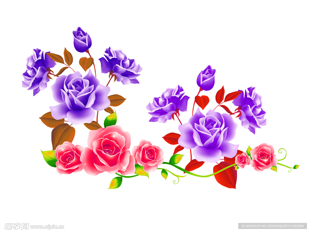 鲜花素材