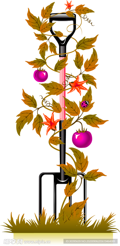 鲜花素材