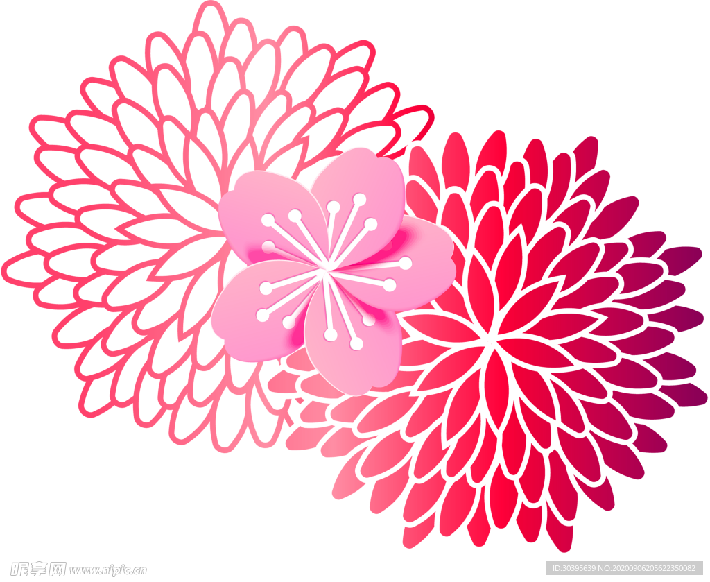 鲜花素材