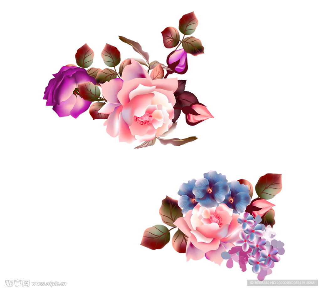 鲜花素材