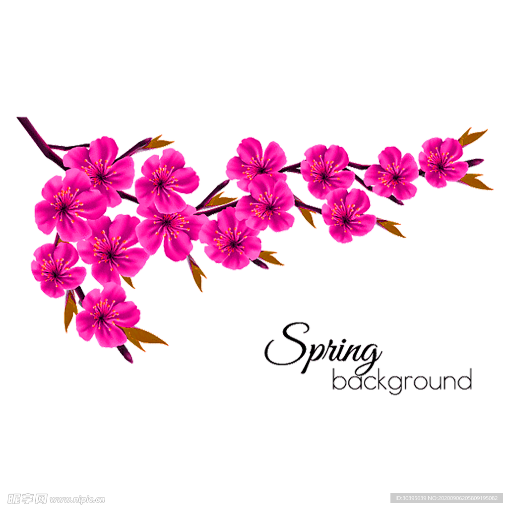 鲜花素材